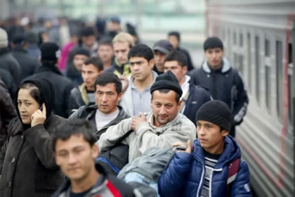трудовые мигранты в РК